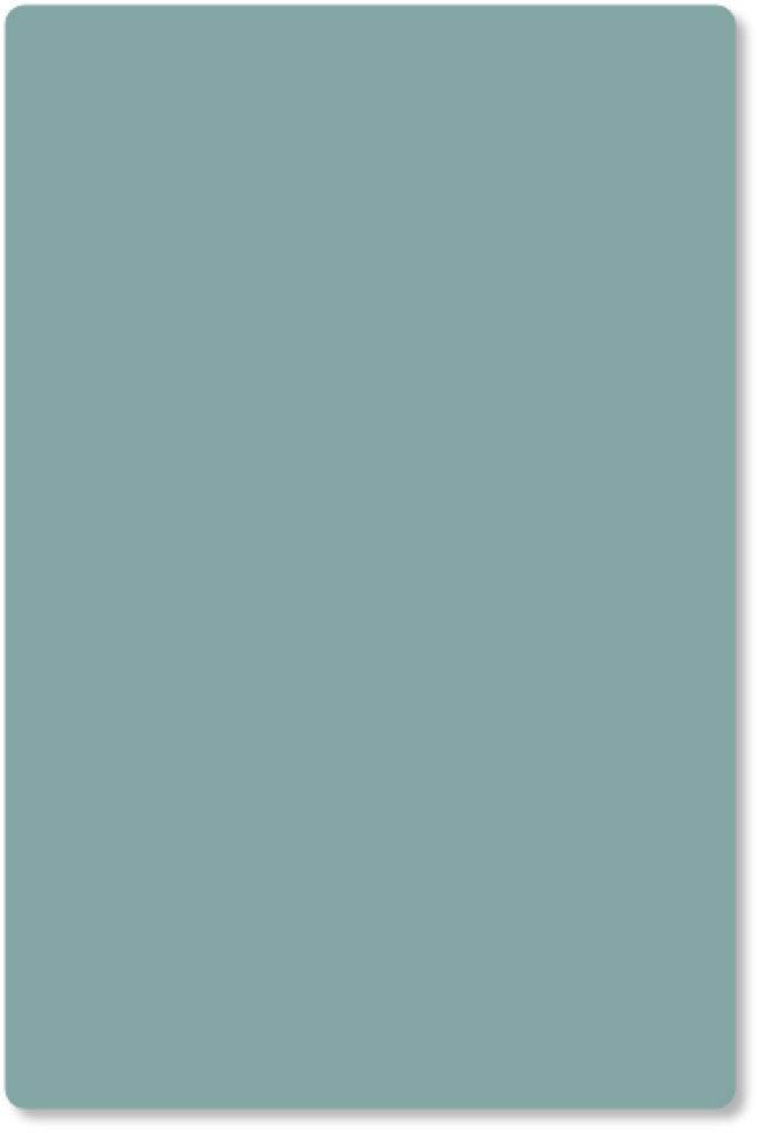 kleurstaal Schildpad