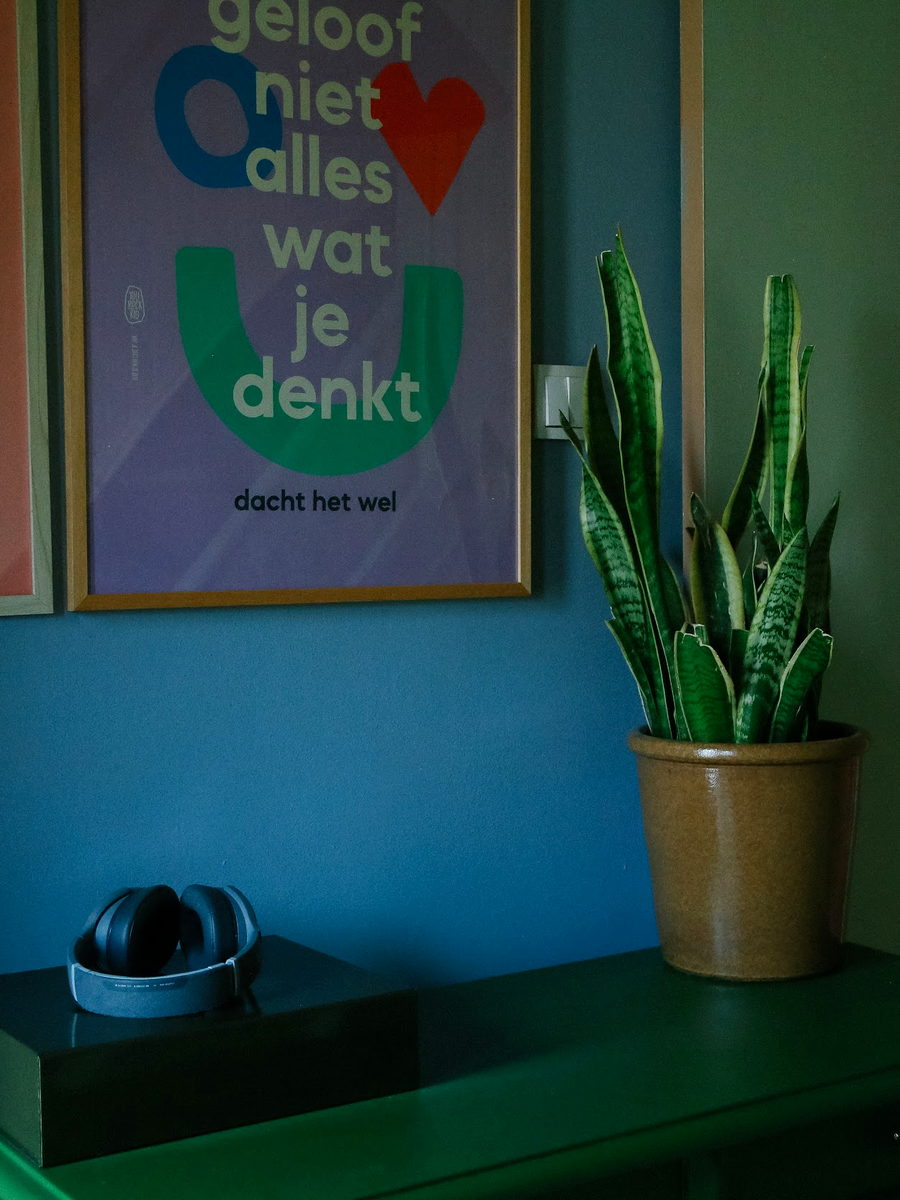 Blue wall with posters and green sideboard