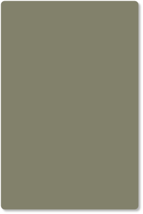 kleurstaal Pine