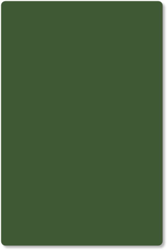 kleurstaal Forrest