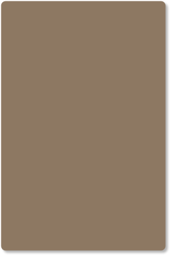 Échantillon de couleur Beaver
