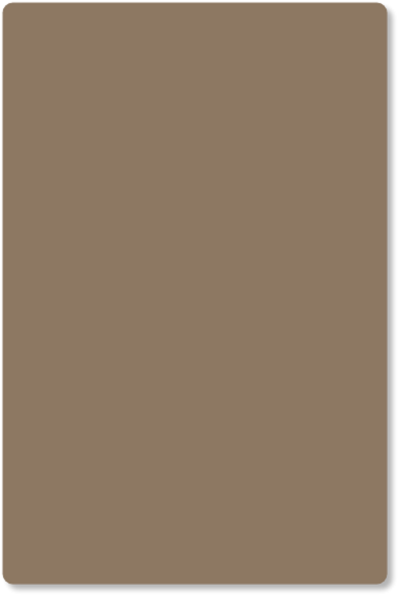 kleurstaal Beaver
