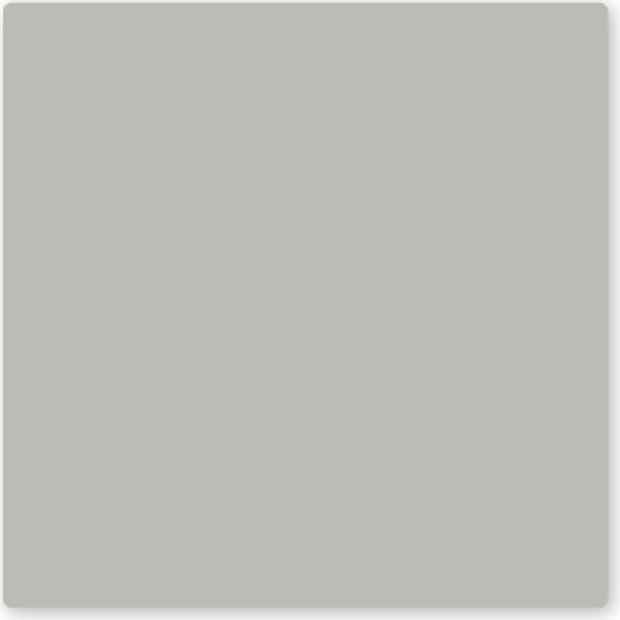 kleurstaal Bastille