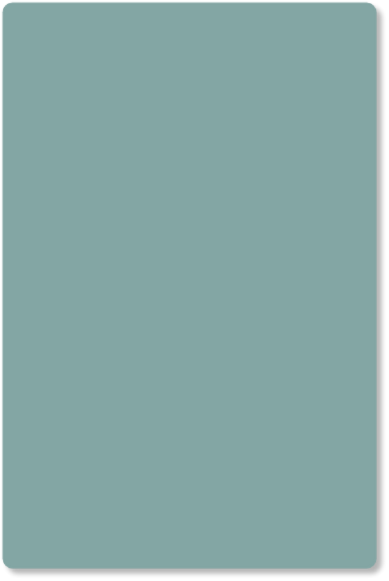 kleurstaal Schildpad
