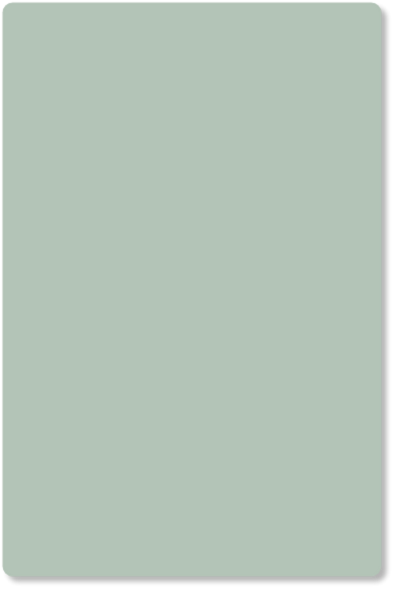 kleurstaal Slang