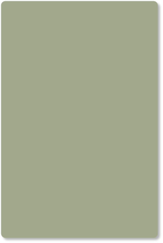 kleurstaal Krokodil