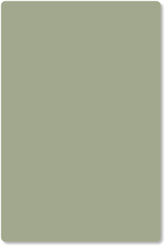 kleurstaal Krokodil