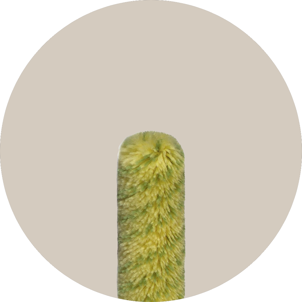 muurverfroller 10 cm - grove ondergronden
